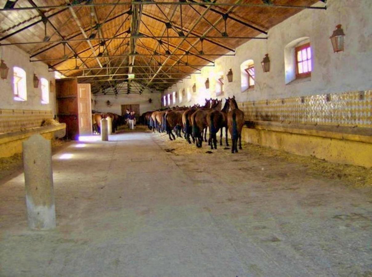 6 Persoons Vakantiewoning Portugal - Casa Do Balao - En - Casa Pequeno Pintor Figueira e Barros 外观 照片